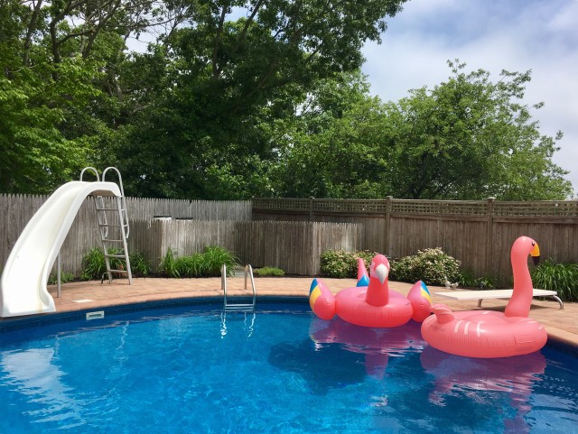 Pool-Slide--in-Gilbert-Arizona-Pool-Slide-2635800-image
